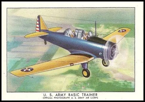 19 U.S. Army Basic Trainer